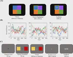Code for Humans Adopt Different Exploration Strategies Depending on the Environment