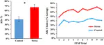 Acute stress switches spatial navigation strategy from egocentric to allocentric in a virtual Morris water maze