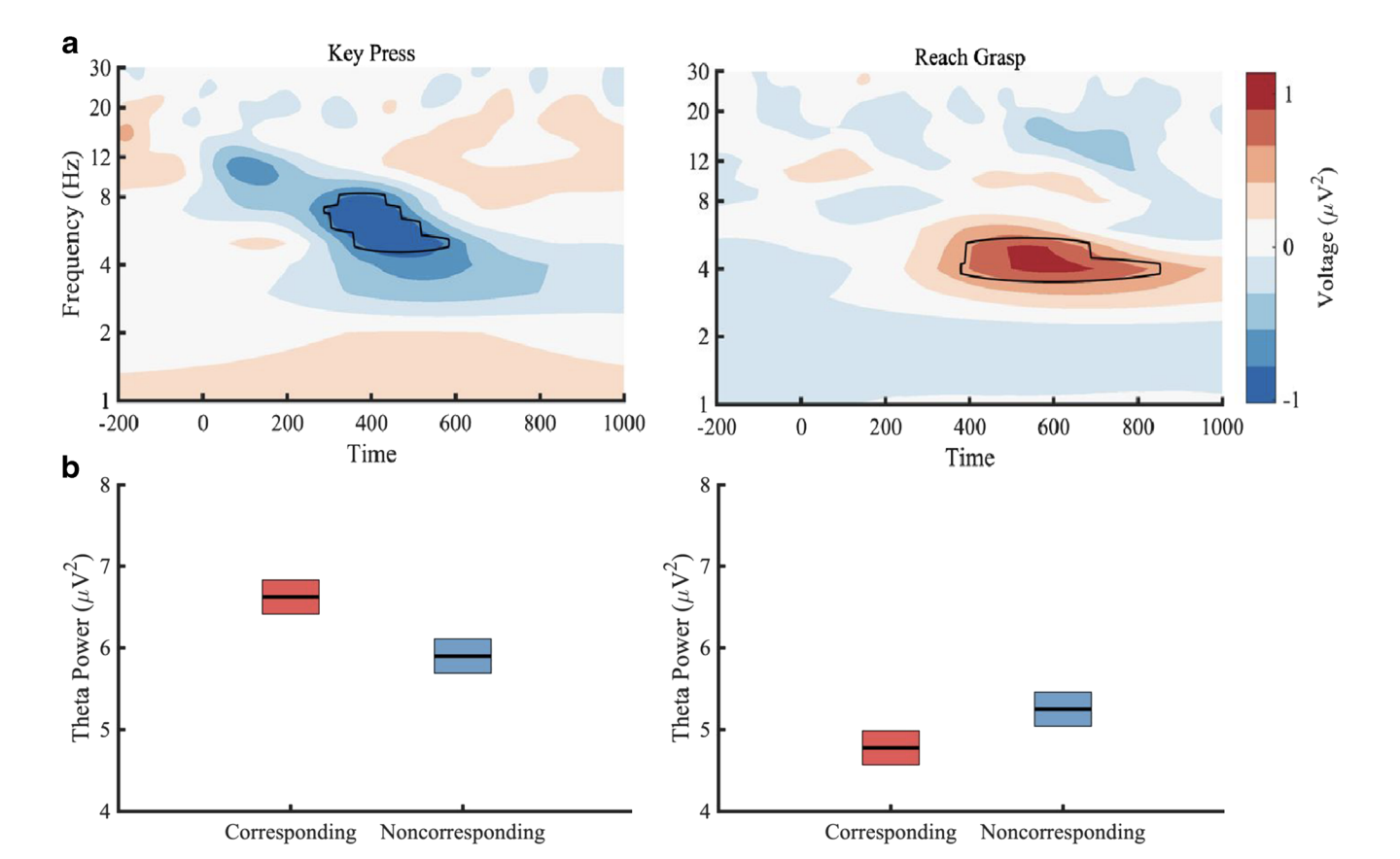 The role of cognitive control and topdown processes in object
