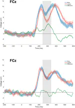 What happens when right means wrong? The impact of conflict arising from competing feedback responses